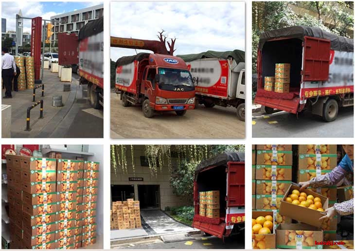 受邀至褚時(shí)健基地空車(chē)搬運(yùn)褚橙至昆明.jpg